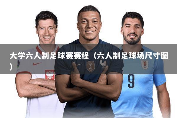 大学六人制足球赛赛程（六人制足球场尺寸图）