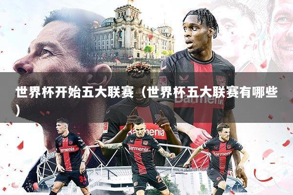 世界杯开始五大联赛(世界杯五大联赛有哪些)