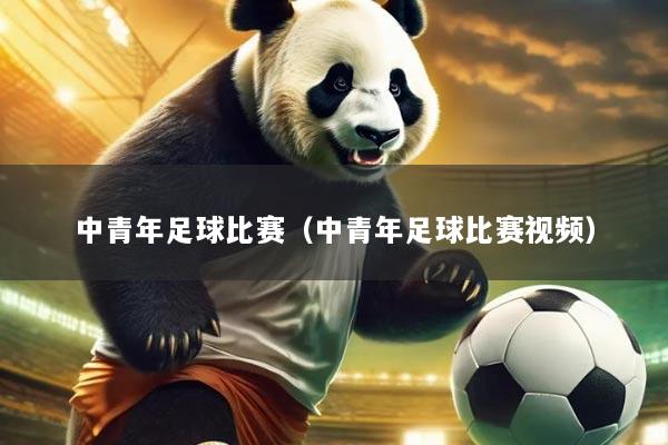 中青年足球比赛(中青年足球比赛视频)