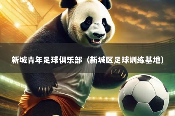 新城青年足球俱乐部(新城区足球训练基地)