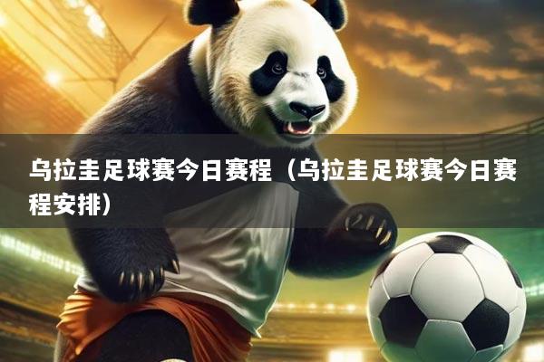乌拉圭足球赛今日赛程（乌拉圭足球赛今日赛程安排）