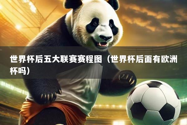 世界杯后五大联赛赛程图（世界杯后面有欧洲杯吗）